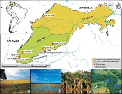 Holocene Paleoecology in the Neotropical Savannas of Northern South America (Llanos of the Orinoquia Ecoregion, Colombia and Venezuela): What Do We Know and on What Should We Focus in the Future?